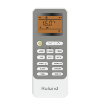 Roland RD-WZ07HSS/N1